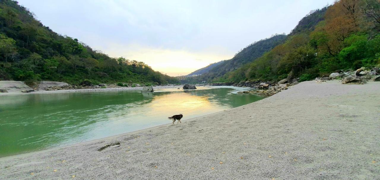 Divine Ganga Cottage Rishikesh Bagian luar foto